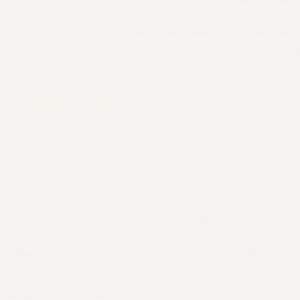 Colorgloss Blanco 25-75 лв/м2