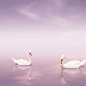 Decor Cisnes 30/70- комплект 2 плочки