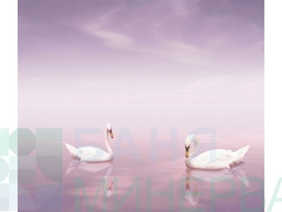 Decor Cisnes 30/70- комплект 2 плочки
