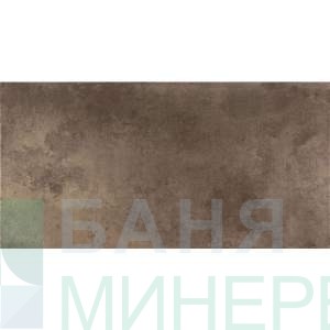 Evolution Titanio 31.6×63.7 гранитогрес
