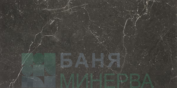 LILY BLACK Плочки Фаянс 29.8х59.8 TUBADZIN