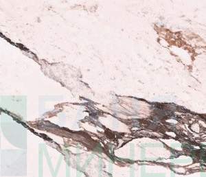 MARBLE VIOLA 3393 Бордо Фаянс 24.4/74.4 см