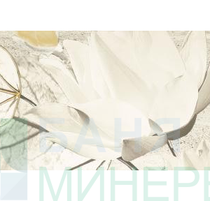 Magnolia grys C Decor 25-75 см лв/бр
