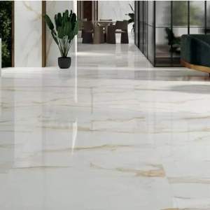 CAMILE GOLD PUL 60-120 Гранитогрес STN Ceramica